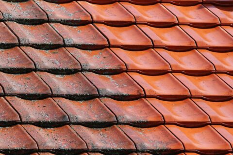 Roof Cleaning & Coating South West London