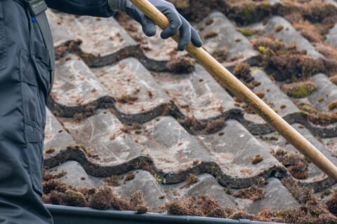 South West London Roof Moss Removal Experts