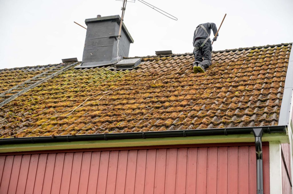 Roof moss removal Roof moss removal services South West London
