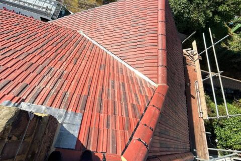 Expert Roofing Company in South West London